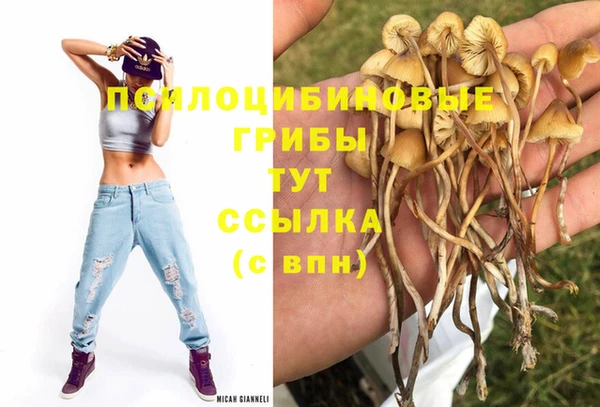 MDMA Premium VHQ Алзамай