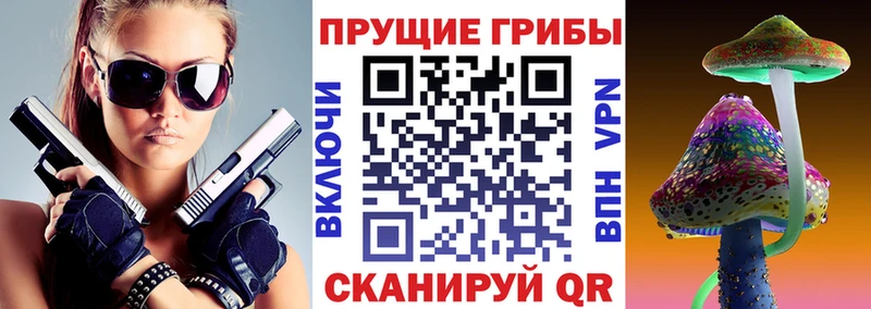 Псилоцибиновые грибы Magic Shrooms  Южно-Сухокумск 